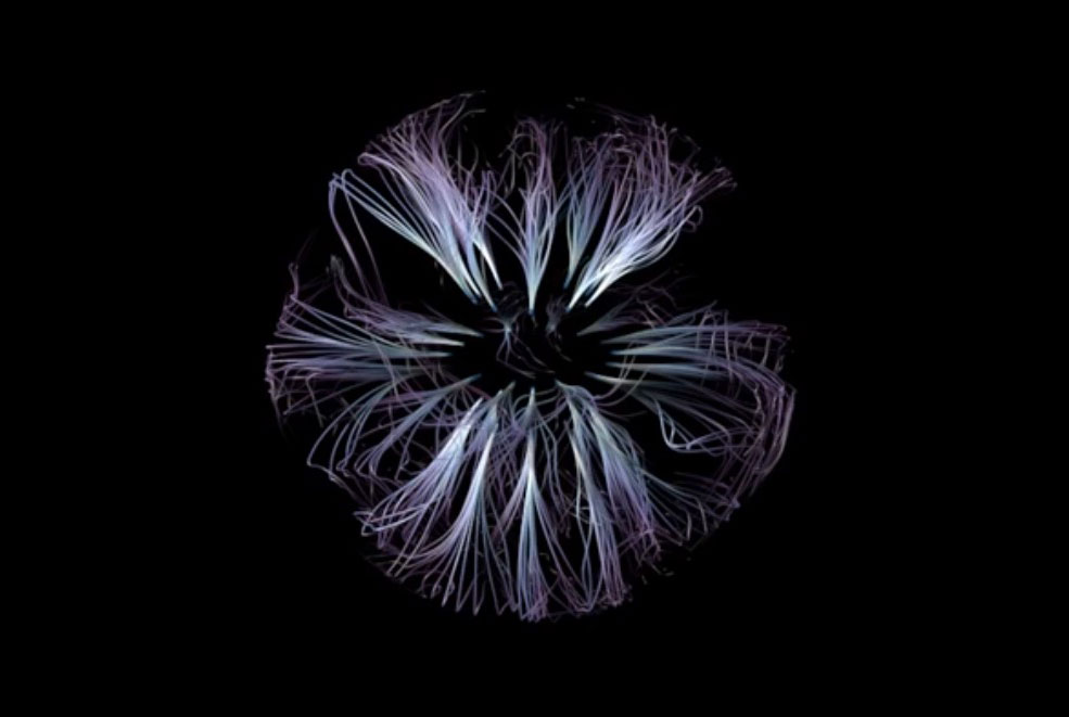 C4D利用X-particles和Realflow制作出漂亮的花朵 - C4D之家 - cinema4d_-2017-03-17-14.14.49.jpg