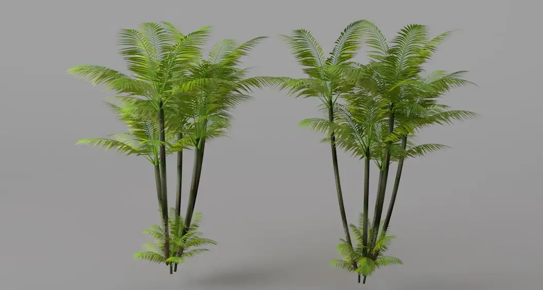 热带树木C4D模型 Tropical trees