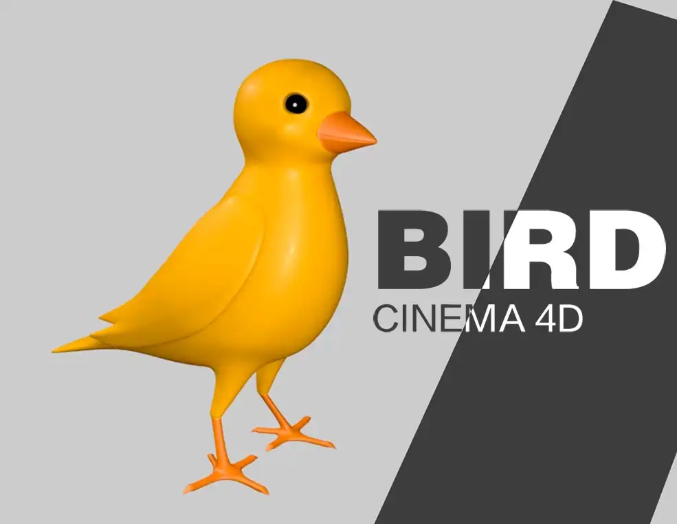 C4D小鸟建模视频教程 Cinema 4d Bird
