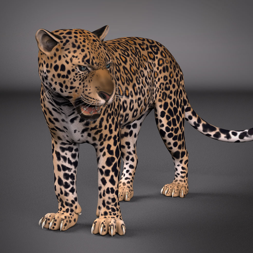 豹子MAYA绑定模型 Leopard Maya Rig (Single Seat )