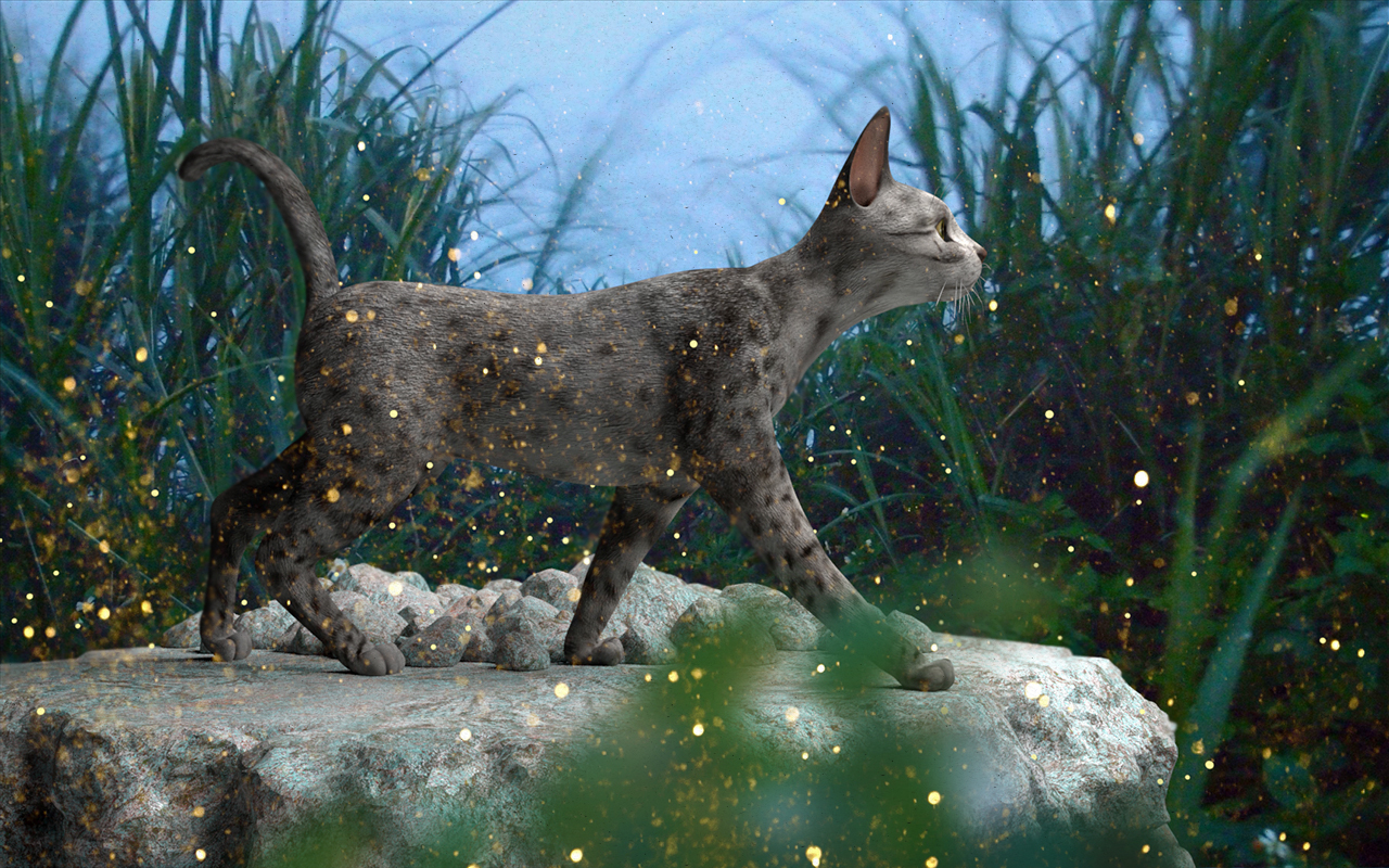 阿诺德小练习-猫星人儿&萤火虫@