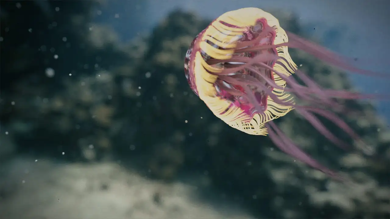 C4D水母游走动画工程文件 JELLYFISH ANIMATION - C4D之家 - ko_jellyfish_07.jpg