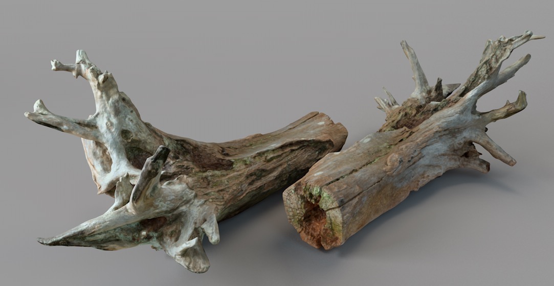 枯树干 枯树根 朽木C4D模型 wood log 3d model - C4D之家 - cinema4d_ 2017-06-11 10.37.21.jpg
