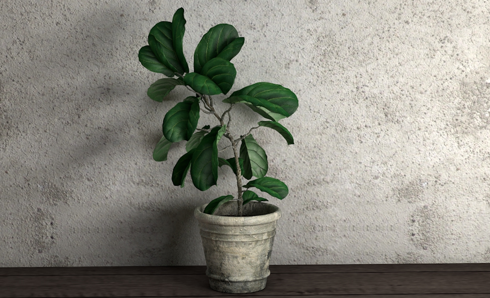 室内装饰花卉 景观绿色植物花盆C4D模型 Green plant flowerpot
