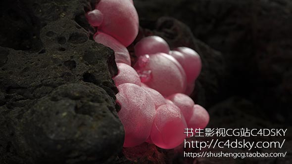 C4D阿诺德渲染器插件Solid Angle Cinema4D To Arnold 2.0.3 - C4D之家 - Solid Angle Cinema4D To Arnold.jpg