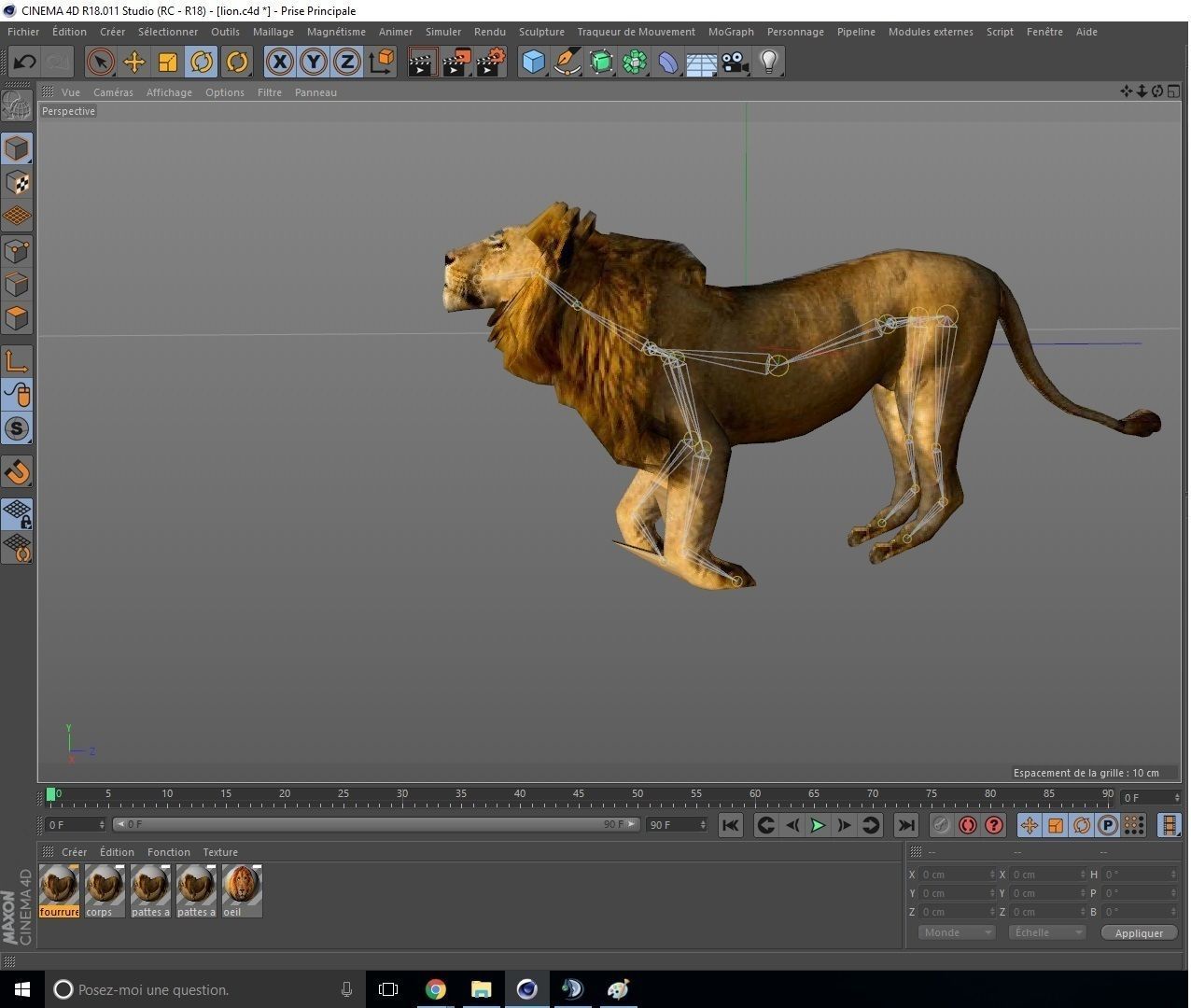 lion - C4D之家 - lion-savane-3d-model-rigged-c4d.jpg