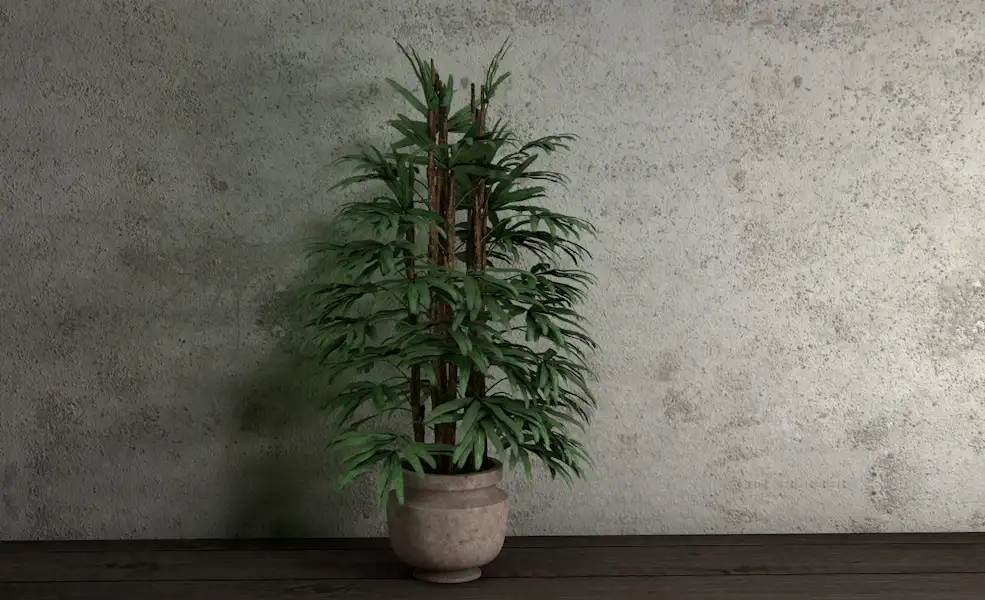 室内装饰植物 办公室景观植物盆景C4D模型 Landscape plant bonsai