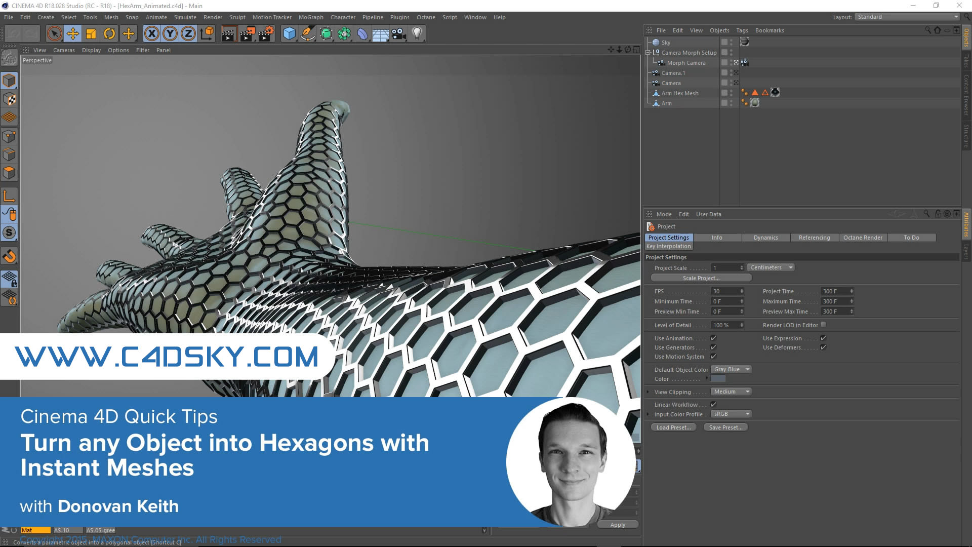C4D教程-六边形蜂巢网教程Cineversity Turn any Object into Hexagons - C4D之家 - Turn any Object[00_003_01][20170731-162129-0].JPG