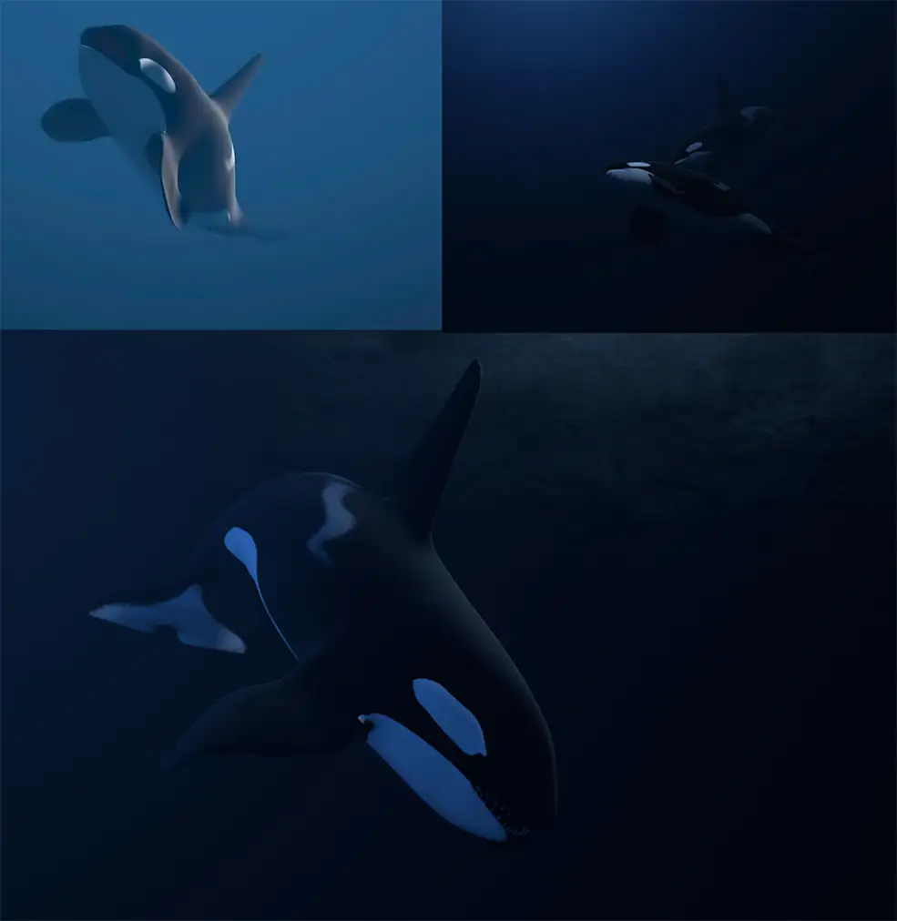 C4D卡通鲸鱼绑定动画模型 Whale