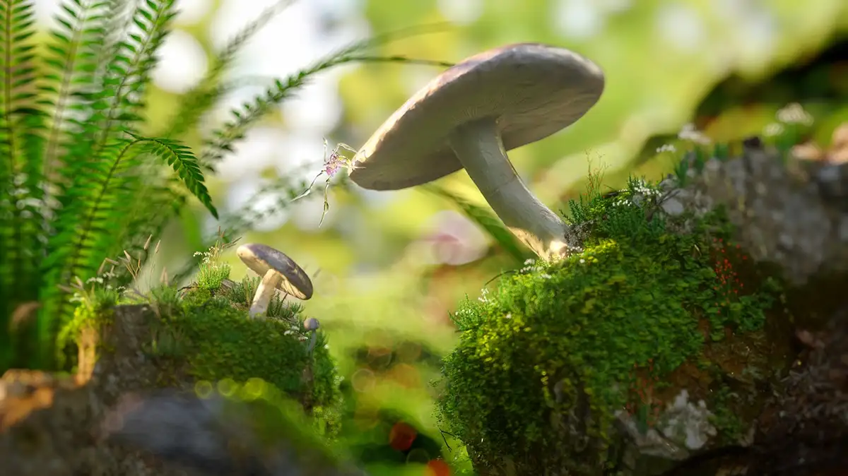 森林里的蘑菇场景C4D模型 Mushroom Octane and Cinema 4D