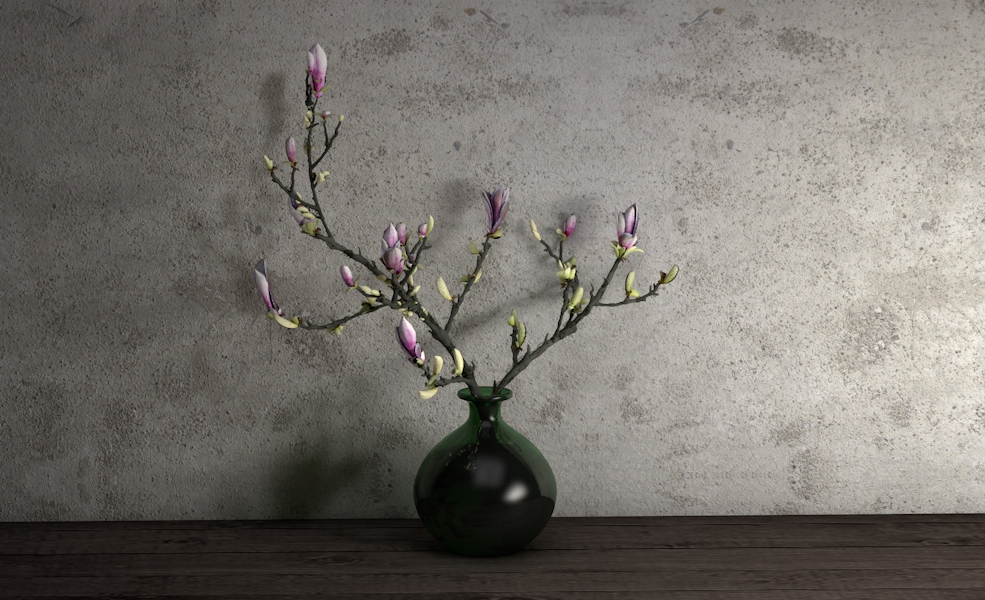 玉兰花室内装饰插花C4D模型 Magnolia - C4D之家 - zhiwu.jpg