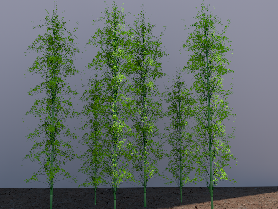 植物 - C4D之家 - 1-1