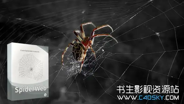 中文汉化版-C4D蜘蛛网插件AEscripts SpiderWeb C4D,支持Cinema 4d R19-R15 - C4D之家 - AEscripts SpiderWeb C4D.jpg