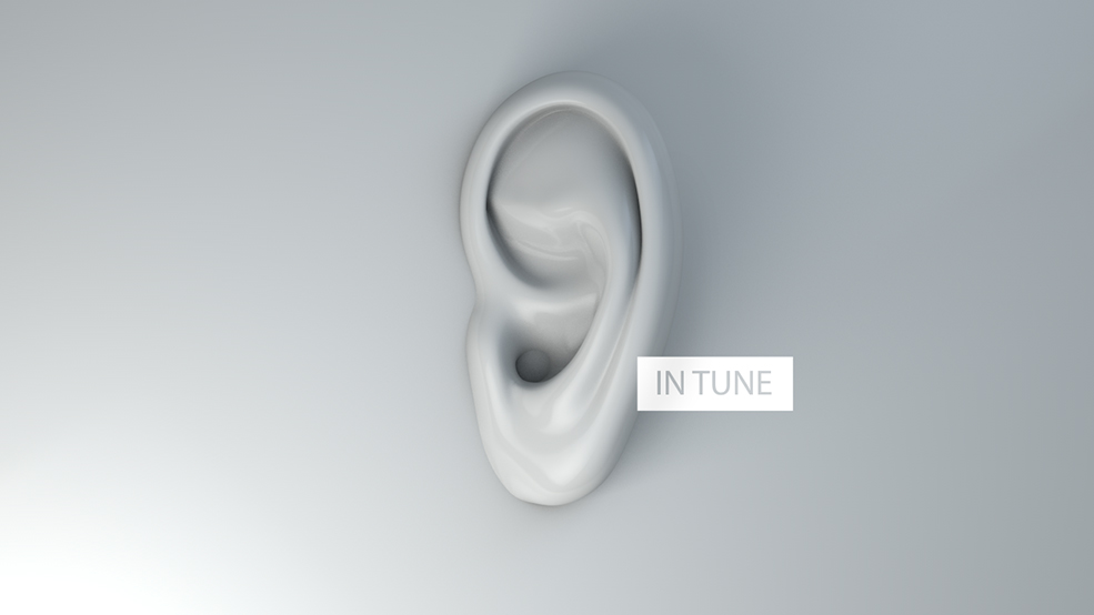 C4D人体器官：耳朵3D模型 Ears 3d model - C4D之家 - [2-28-14]-IN-TUNE.jpg