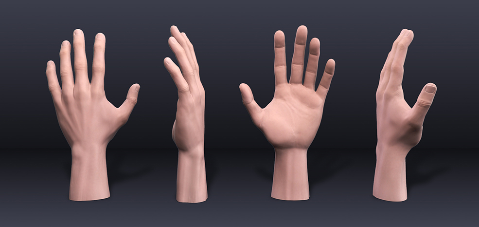 男性手掌C4D模型 Follys Hand（C4D/OBJ/ZTL） - C4D之家 - Comp.jpg