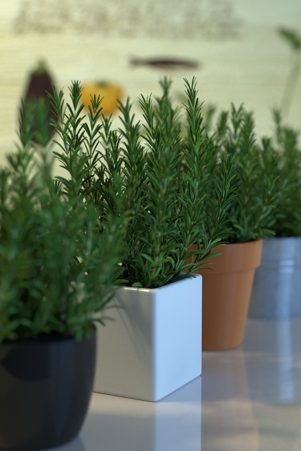 室内装饰花盆植物C4D模型 Plantpots（Corona） - C4D之家 - Plantpots.jpg