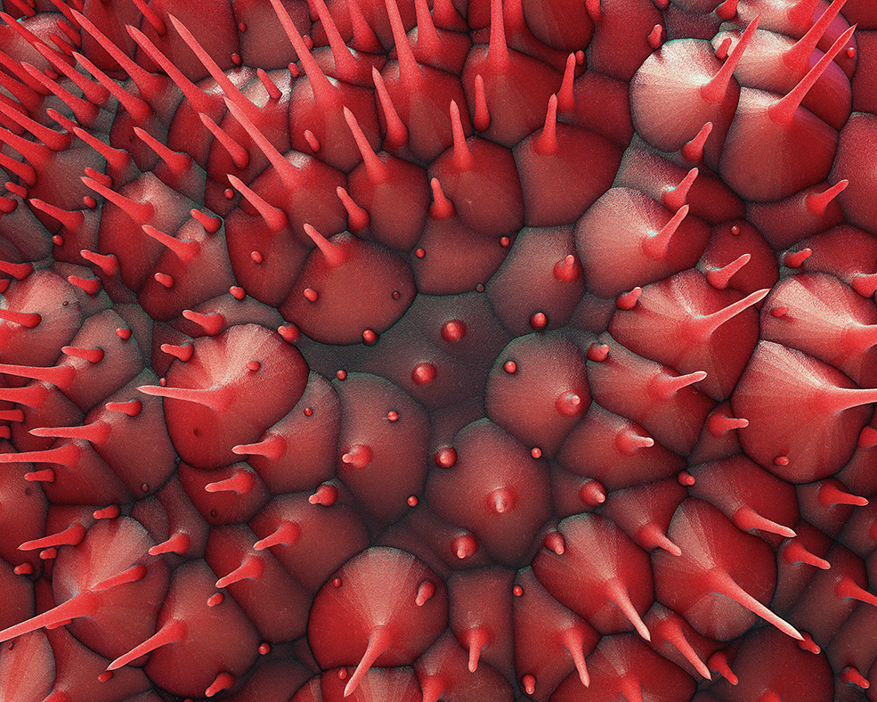 C4D实用工程第497季：密集的科幻石榴造型C4D工程C4D Project[Cinema4D - Octane] - C4D之家 - [14-09-17]---Pomegranate.jpg