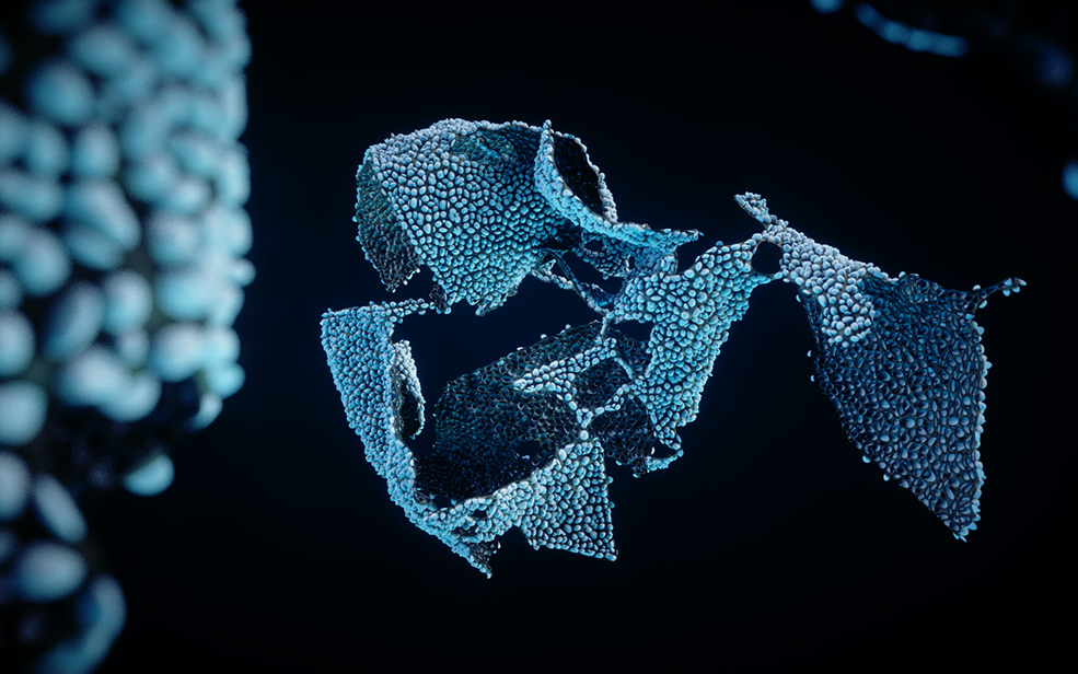 CINEMA 4D创建有机结构风格框架视频教程（含工程文件） - C4D之家 - ob2.jpg