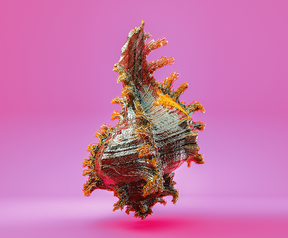 C4D实用工程第462季：漂亮的海螺C4D工程C4D Project[Cinema4D - Octane]