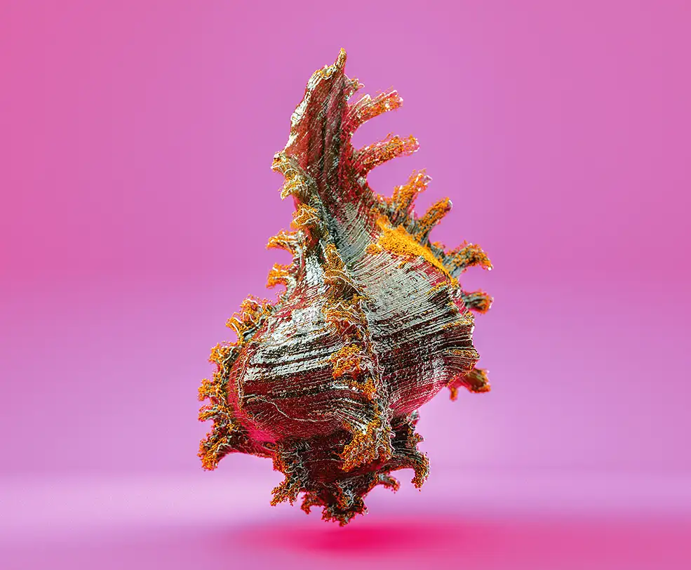 C4D实用工程第462季：漂亮的海螺C4D工程C4D Project[Cinema4D - Octane]