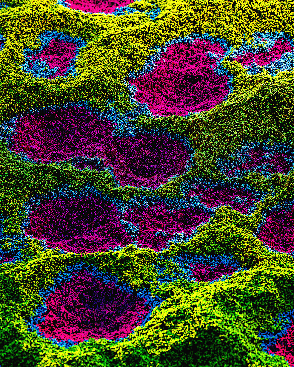 C4D实用工程第466季：七彩粒子沙坑C4D工程C4D Project[Cinema4D - Octane]