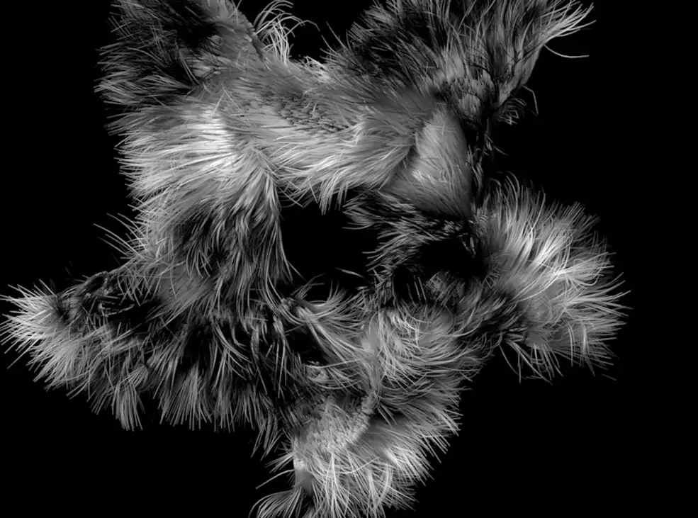 C4D毛发动画工程文件Hair animation