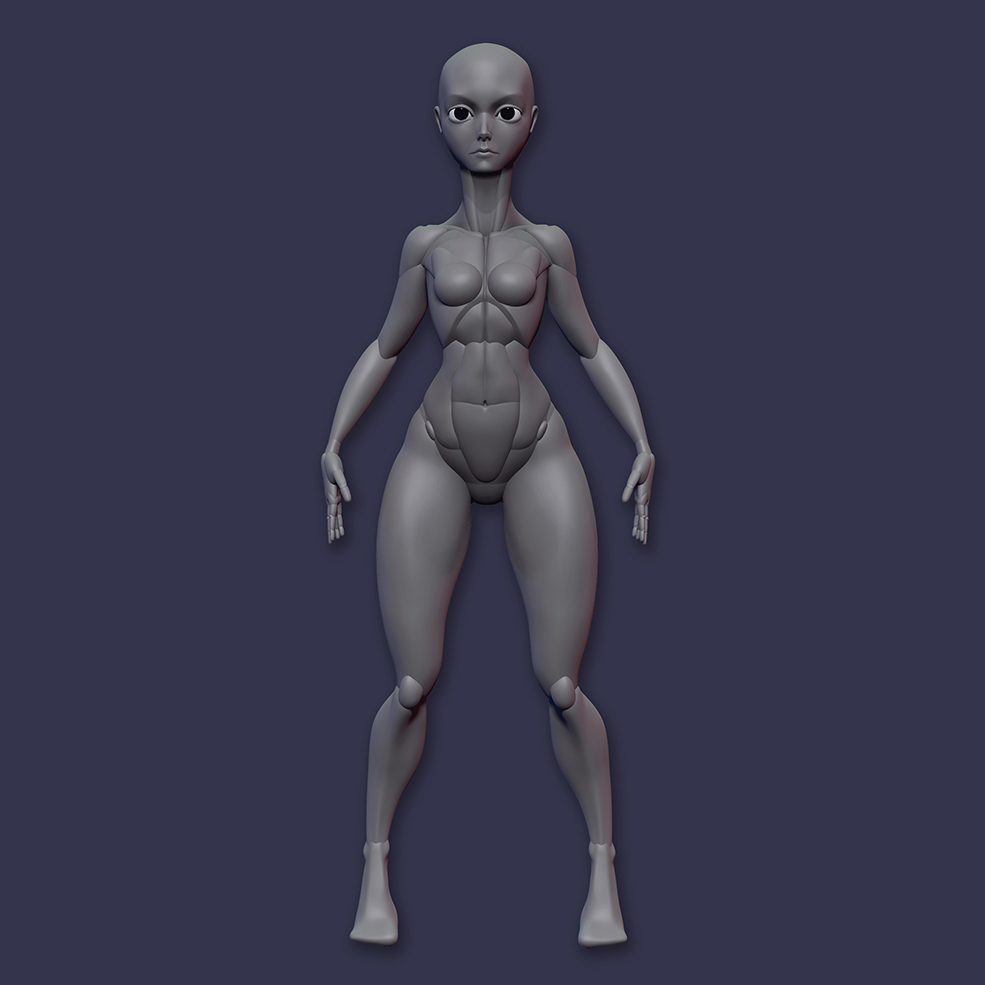 卡通肌肉女性3d模型 Split Female Anatomy