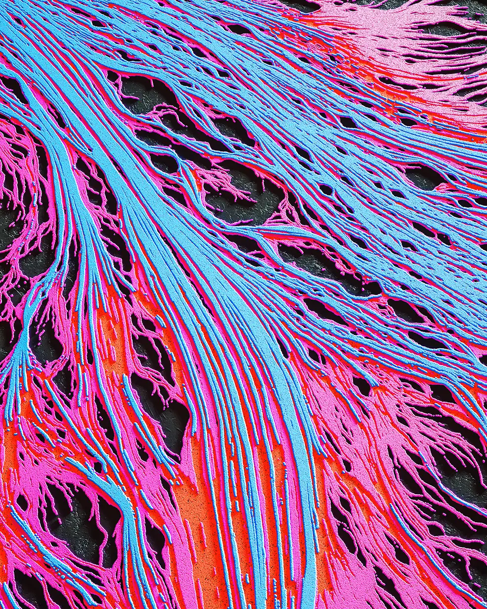 C4D实用工程第469季：科幻七彩脉络C4D工程C4D Project[Cinema4D - Octane]