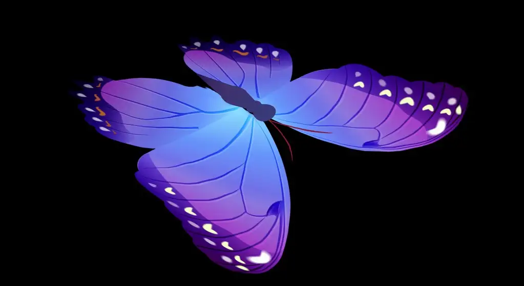蝴蝶绑定模型 蝴蝶煽动翅膀C4D绑定动画模型 Rigged Butterfly Cinema 4d