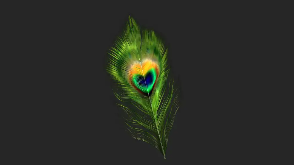 漂亮的七彩孔雀羽毛C4D模型 Feather 3D Model
