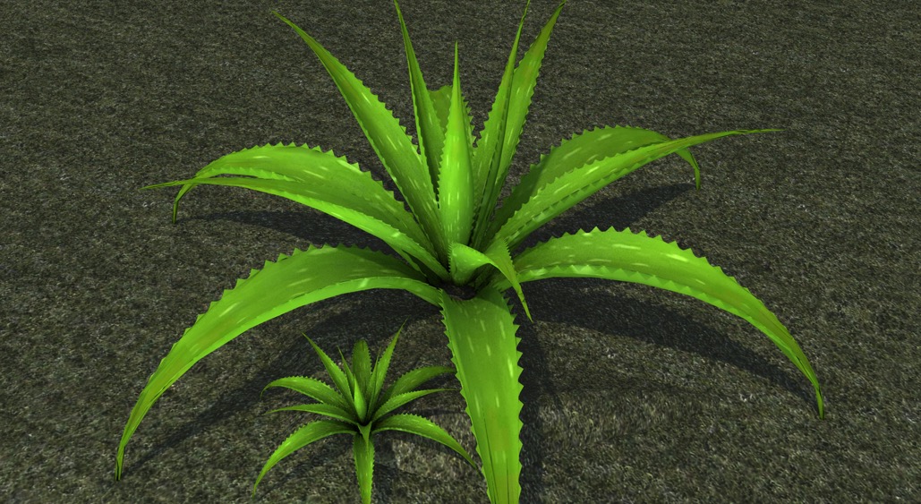 芦荟植物C4D模型 Aloe Vera Plant - C4D之家 - cinema4d_ 2017-10-30 15.19.20.jpg