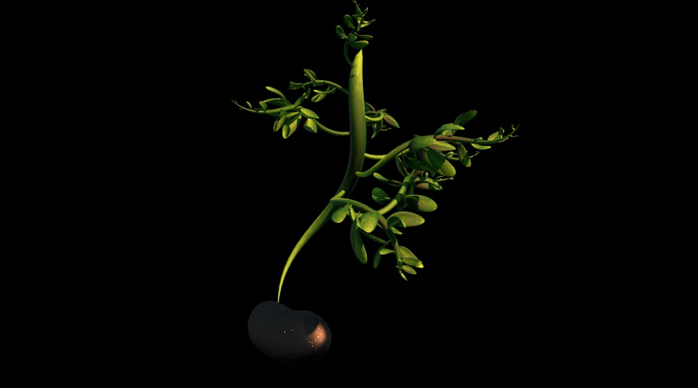 C4D豆芽生长动画工程 Bean sprout animation - C4D之家 - cinema4d_ 2017-11-01 17.20.40.jpg