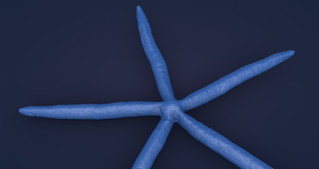 蓝色海星C4D模型 Blue Sea Star - C4D之家 - 屏幕快照 2017-11-05 21.06.31.jpg