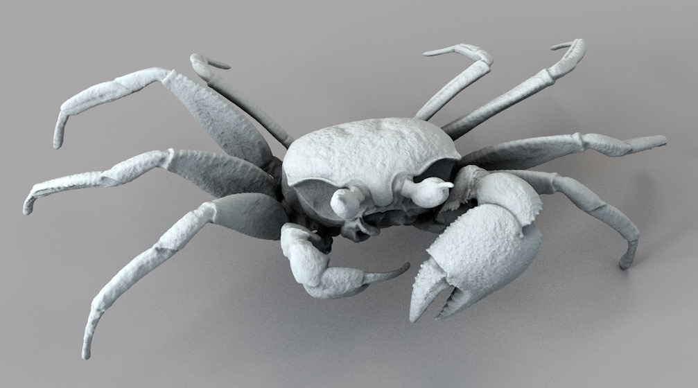 螃蟹 沙蟹C4D模型 Ghost Crab - C4D之家 - 屏幕快照 2017-11-08 19.05.59.jpg