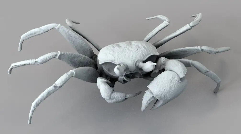 螃蟹 沙蟹C4D模型 Ghost Crab - C4D之家 - 屏幕快照 2017-11-08 19.05.59.jpg