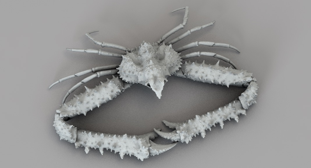 螃蟹 长臂蟹C4D模型 Elbow Crab - C4D之家 - 屏幕快照 2017-11-09 21.14.32.jpg