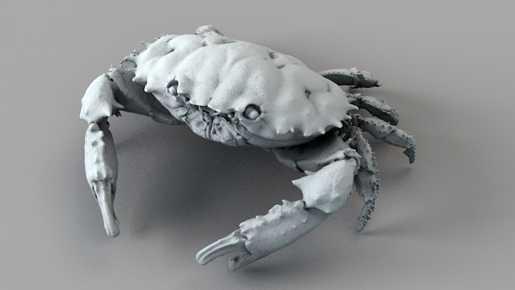 螃蟹 礁蟹C4D模型 Dark Finger Reef Crab - C4D之家 - 屏幕快照 2017-11-12 20.16.14.jpg