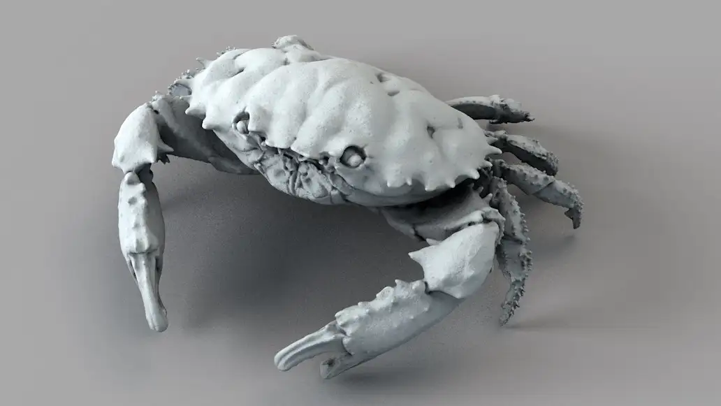 螃蟹 礁蟹C4D模型 Dark Finger Reef Crab
