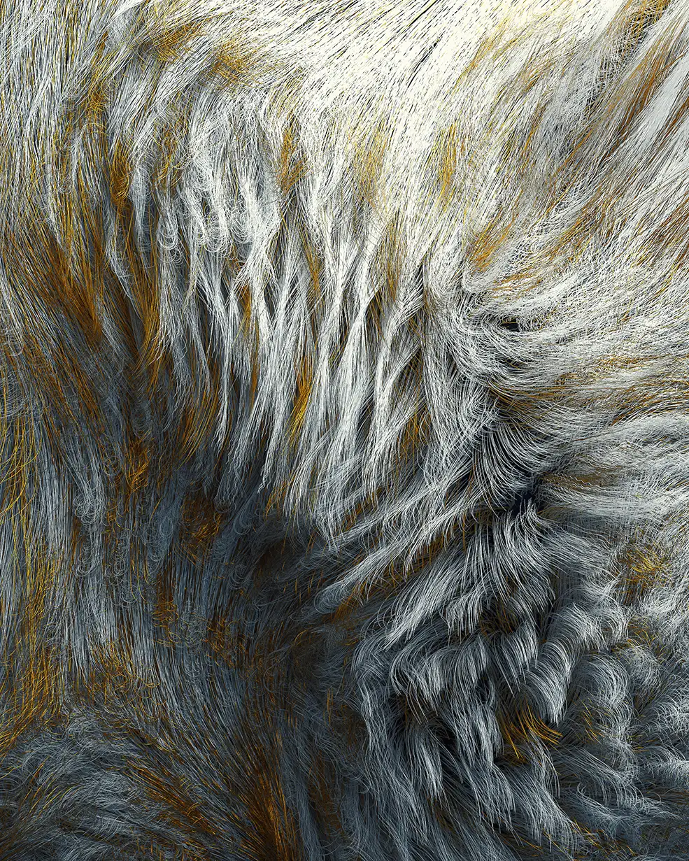 C4D实用工程第524季：野生动物毛发C4D Project[Cinema4D - Octane]