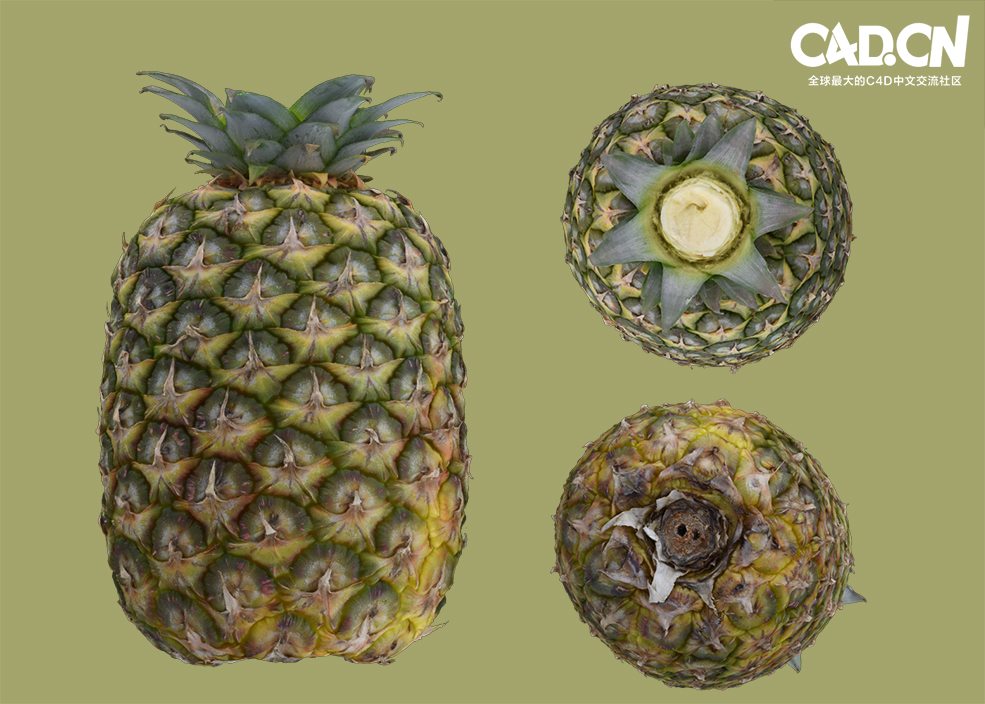 水果模型 凤梨 菠萝C4D模型 Pineapple 3d model