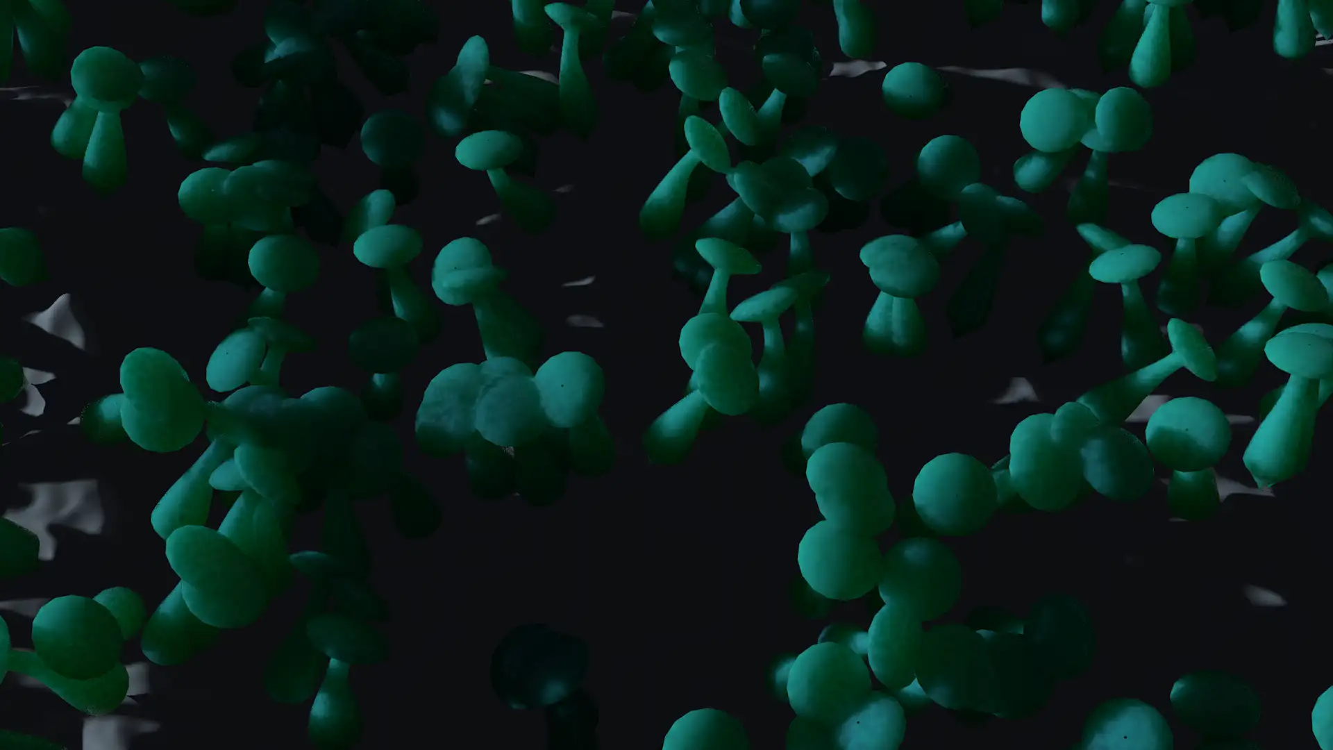 蘑菇 - C4D之家 - 00.png
