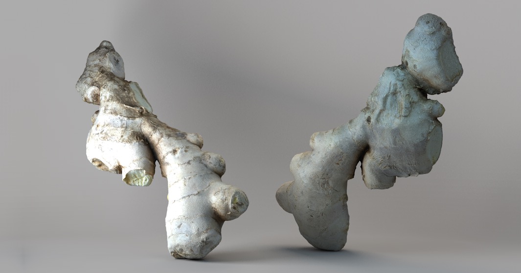 生姜C4D模型 ginger 3d model