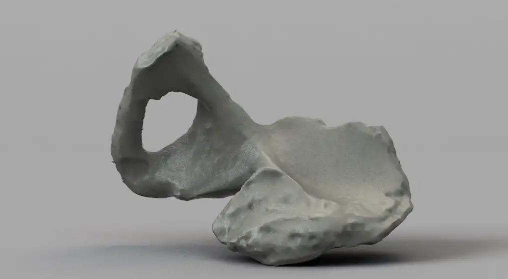 人体骨骼 人骨盆C4D模型 Human Pelvis Bone - C4D之家 - 屏幕快照 2018-01-22 21.59.06.jpg