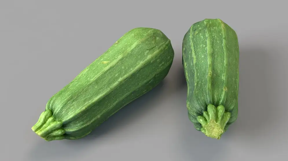 蔬菜西葫芦C4D模型 Long Zucchini 3d model