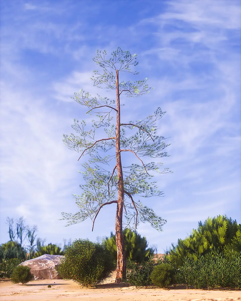 C4D实用工程第586季：野外树木C4D工程 C4D Project[Cinema4D - Octane] - C4D之家 - [03-02-18]---Nature.jpg