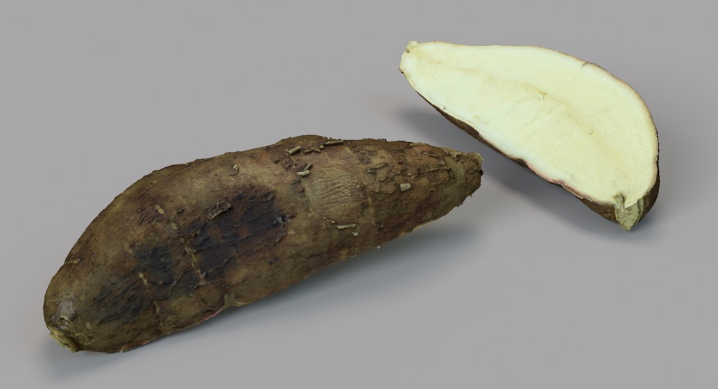木薯切片C4D模型 Half Yuca 3d model - C4D之家 - 屏幕快照 2018-03-13 22.54.29.jpg