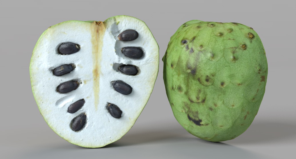 切开的一半南美洲番荔枝C4D模型 Custard Apple 3d model - C4D之家 - 屏幕快照 2018-03-26 22.46.59.jpg