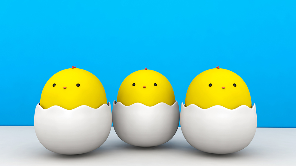 卡通小鸡模型 蛋壳小黄鸡萌宠卡通形象C4D模型