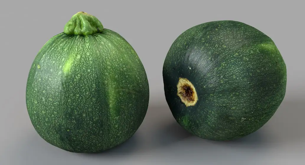 蔬菜：圆形西葫芦C4D模型 Round Zucchini - C4D之家 - 屏幕快照 2018-04-07 22.09.09.jpg