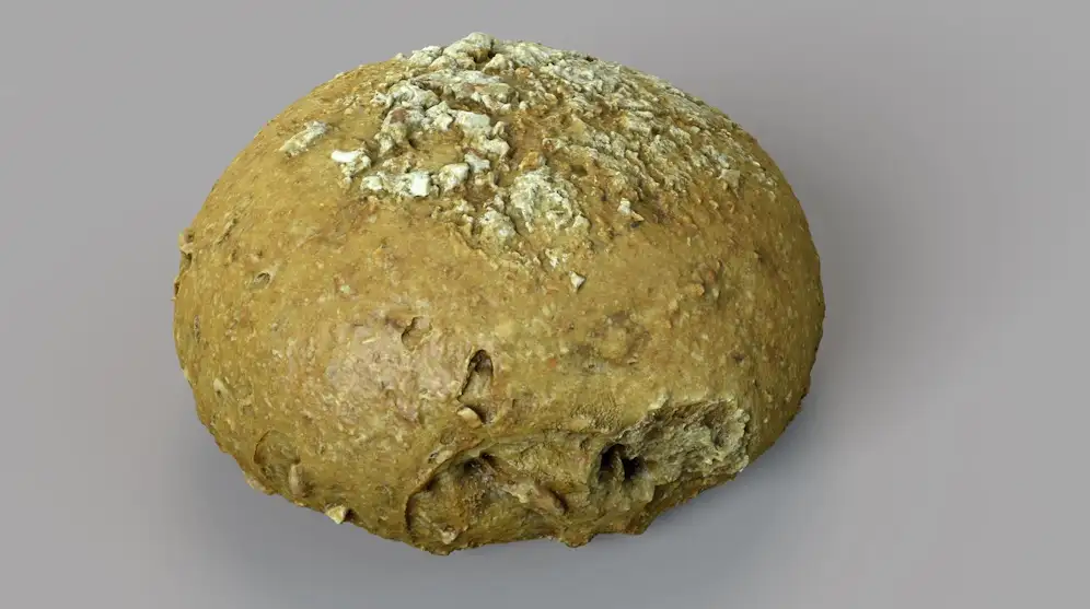 黑麦面包C4D模型 Rye Bread